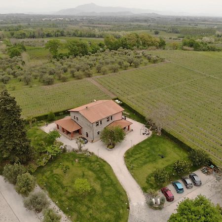 Agrituirsmo Masseria Campierti Falciano del Massico エクステリア 写真